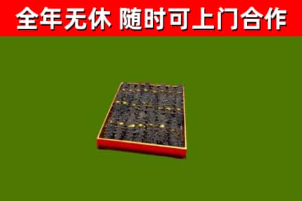 静宁回收海参